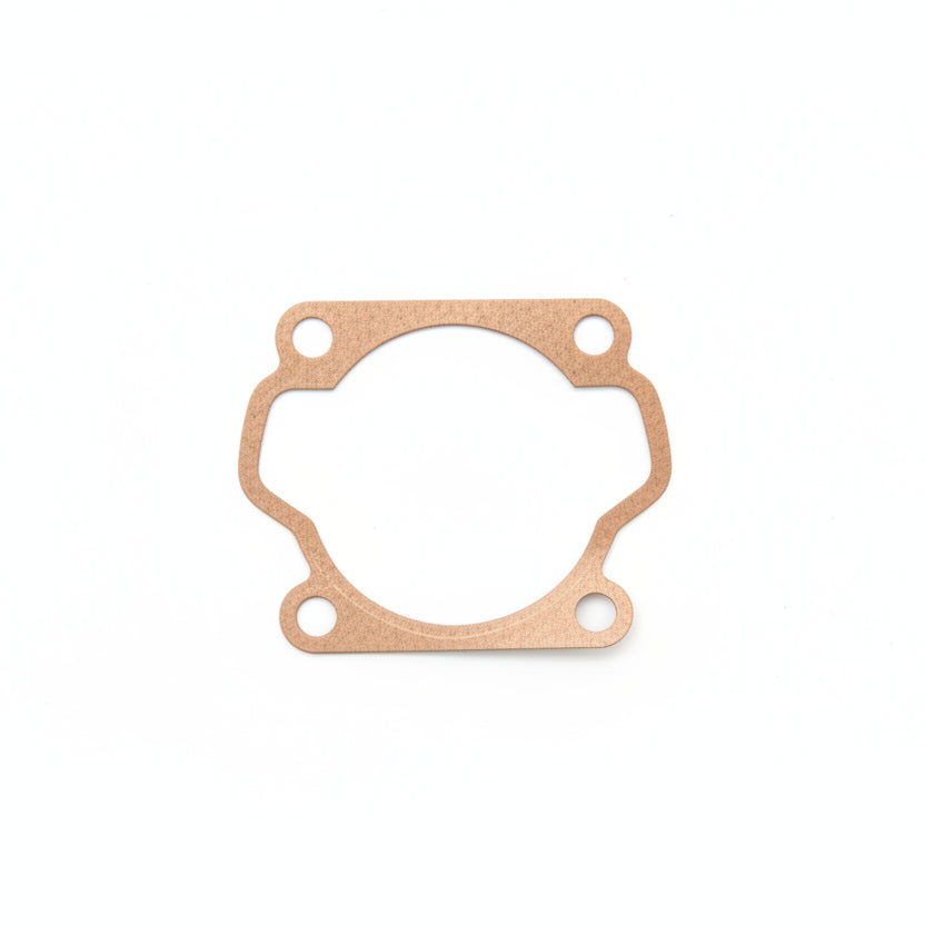 Gasket (590554SKY)
