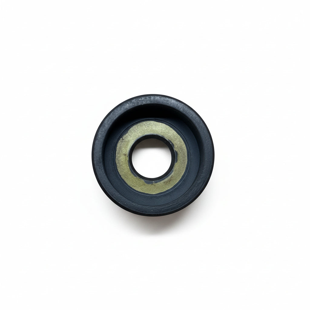 Oil Seal (4127569SKY)