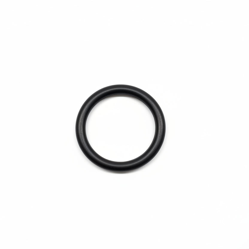 O-Ring Filter E088 (4368726SKY)