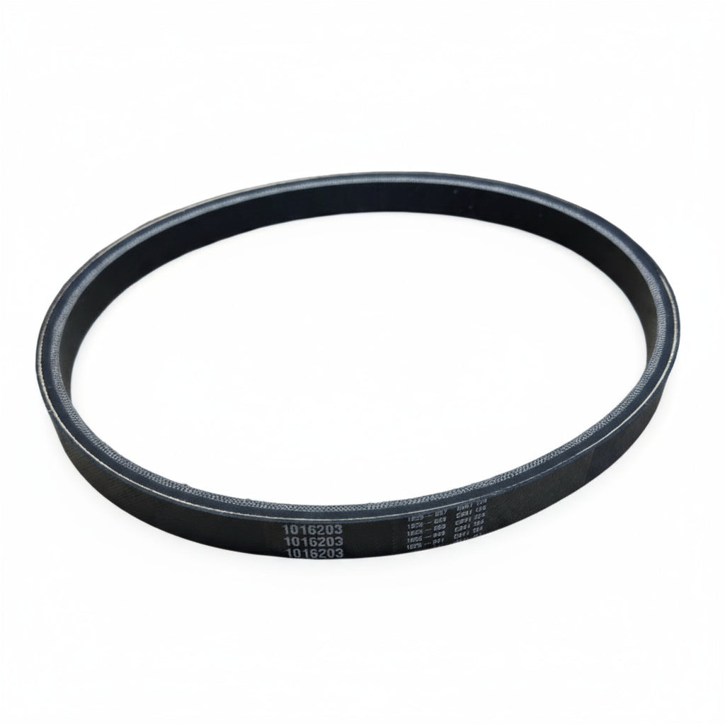 Drive Belt (FE290 & FE350)