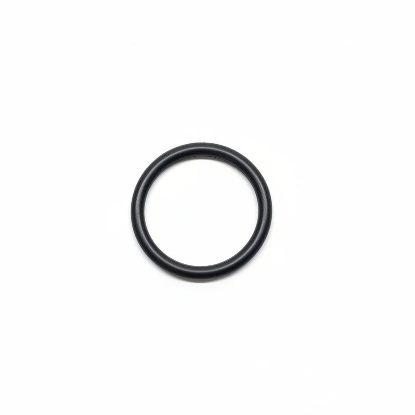 O-Ring (339911SKY)