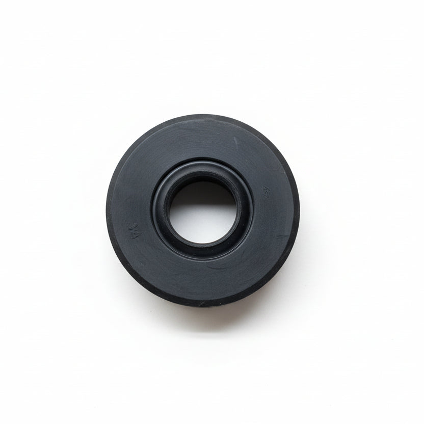 Oil Seal (4127569SKY)