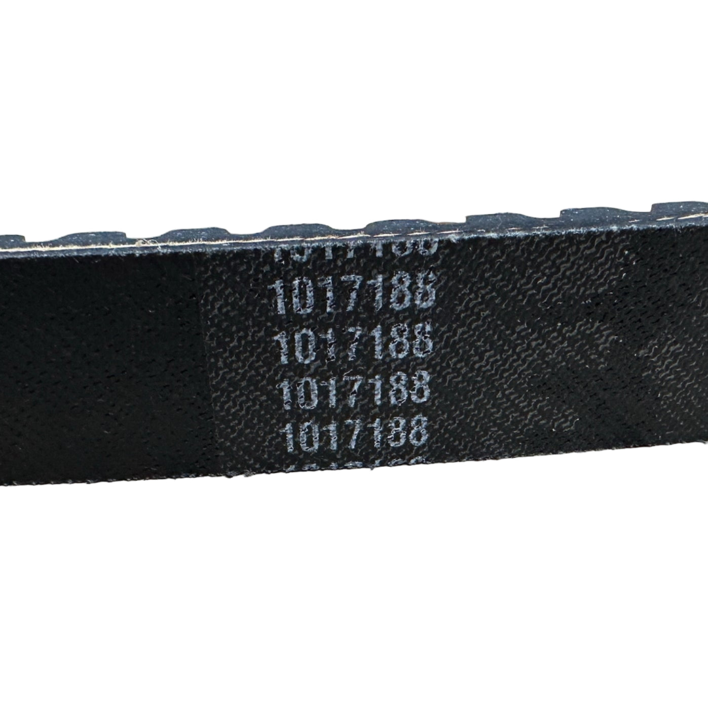 Drive Belt (Heavy Duty)