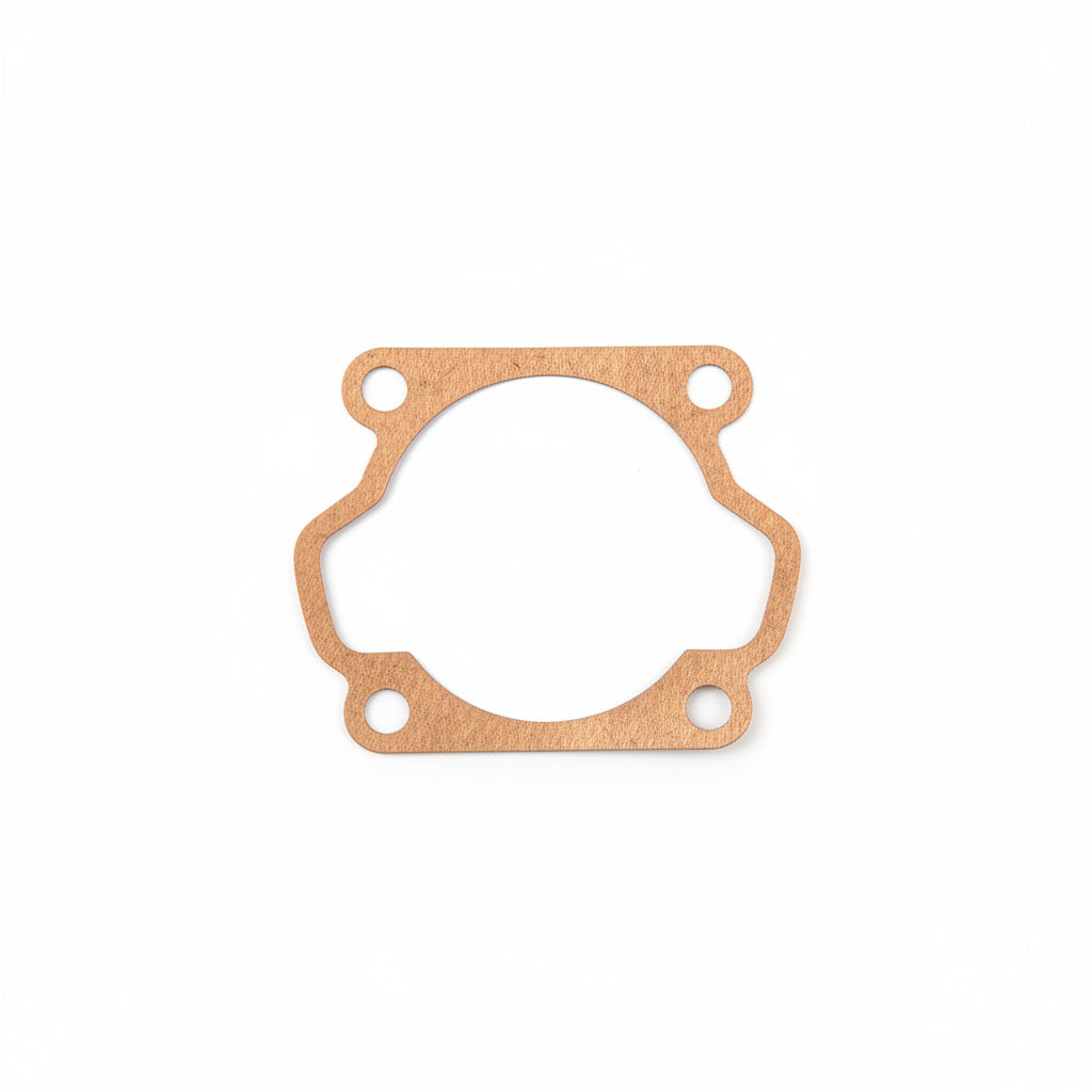 Gasket (590554SKY)