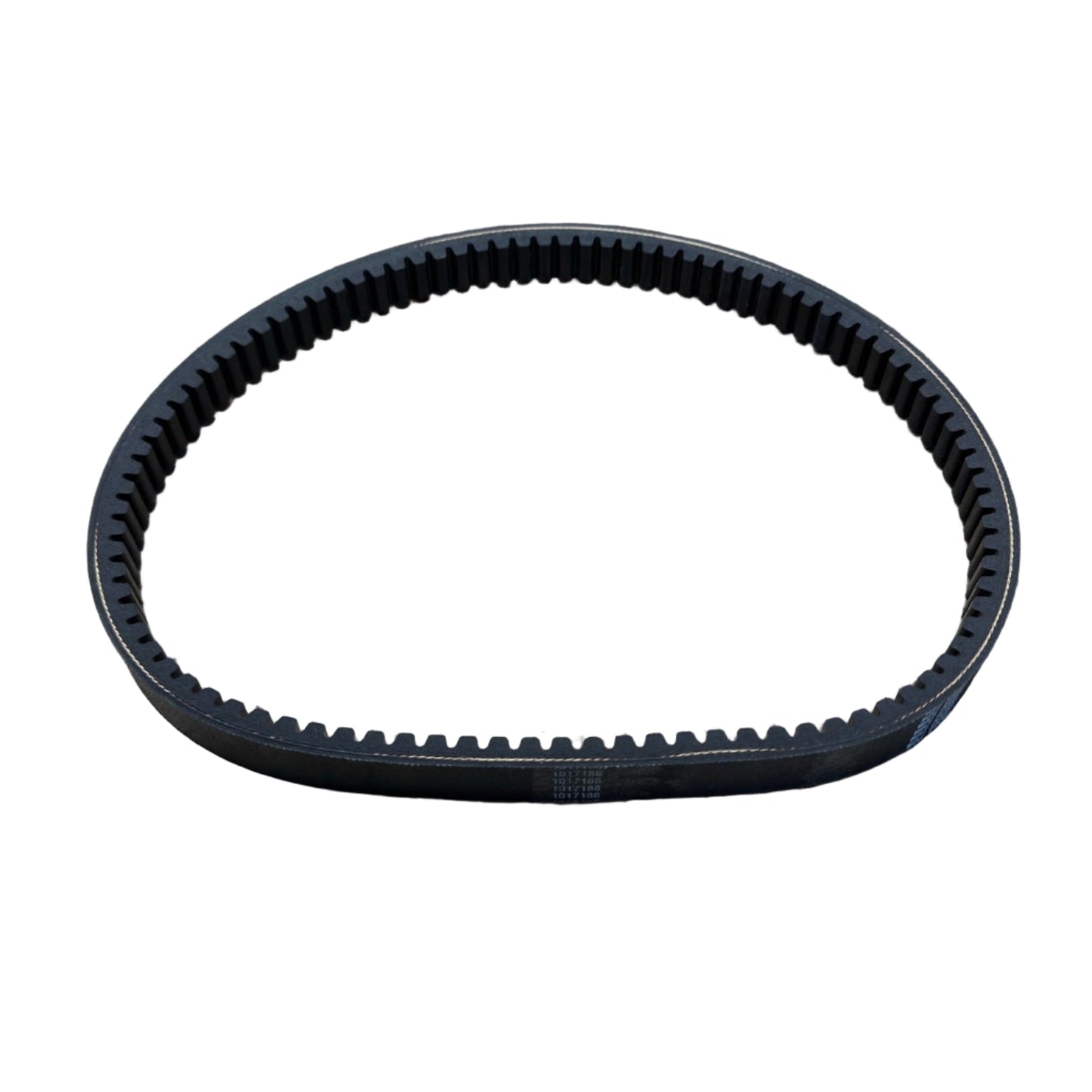 Drive Belt (Heavy Duty)