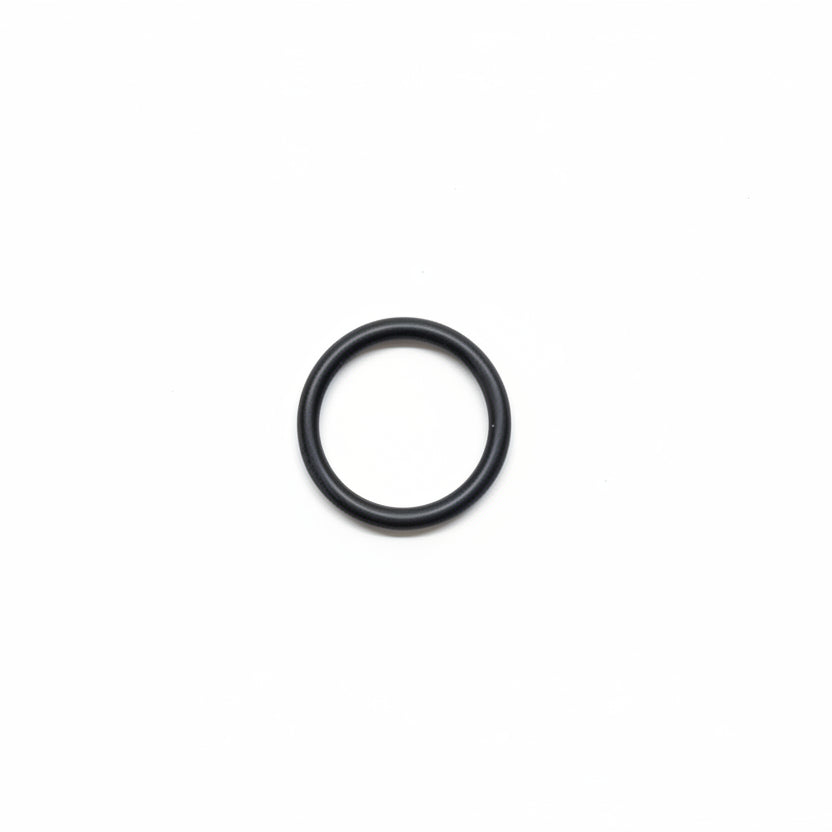 O-Ring (339911SKY)