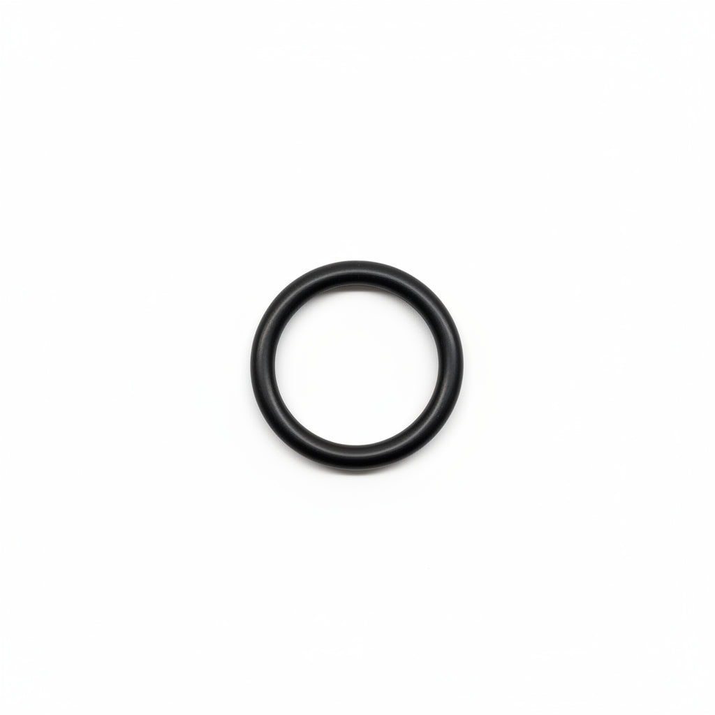 O-Ring Filter E088 (4368726SKY)